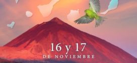 RESULTADOS: CONCURSO FLOREOS DEL TEIDE